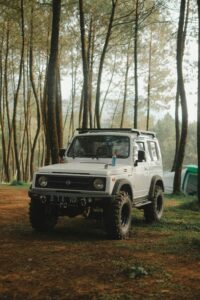 Unlock Savings with Eco Lane: Explore Cheap Weekly Car Rental Rates in Style